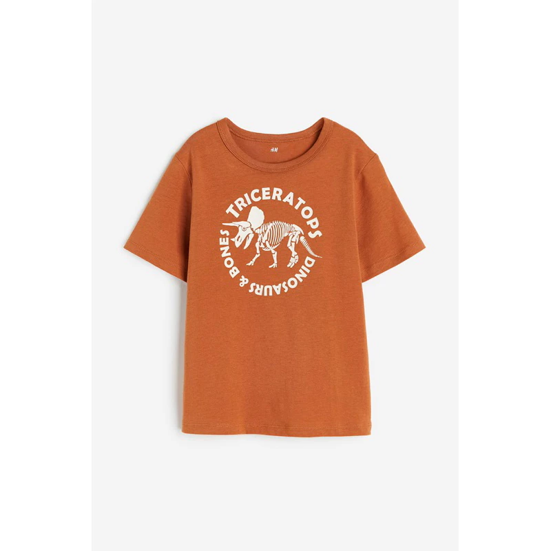 Dinosaur Brown Tshirt