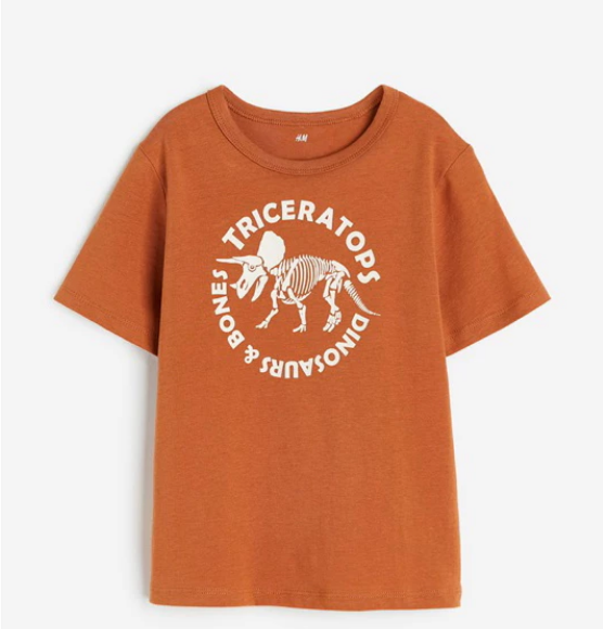 H&M SALE, Dinosaur Brown Tshirt